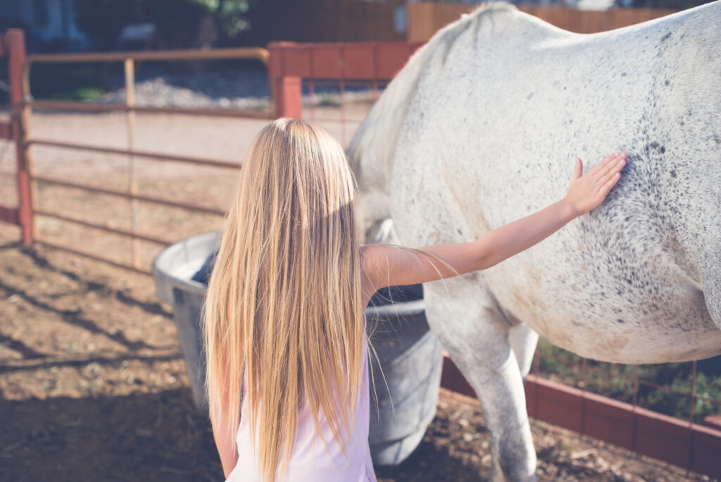 A young girl with long blonde hair pets a white and gray spotted horse